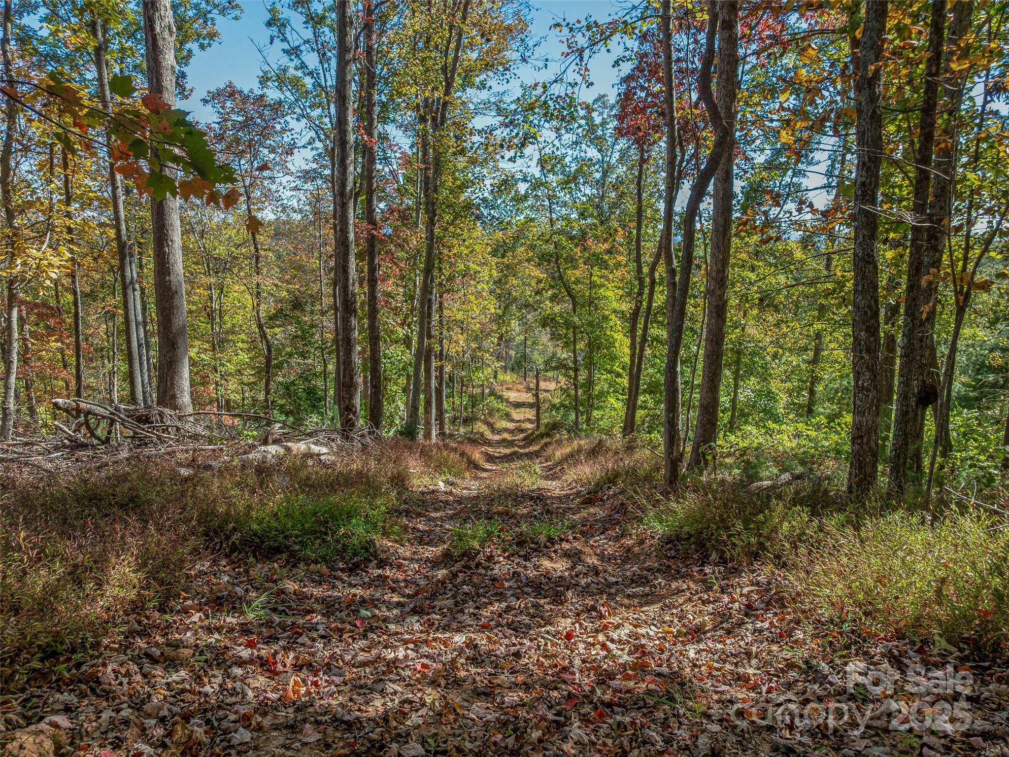 99999 Meadows Town Road Marshall, NC 28753 - Photo 16 of 47