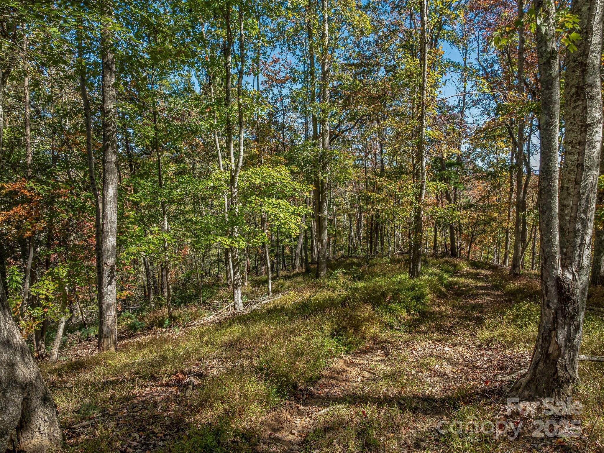 99999 Meadows Town Road Marshall, NC 28753 - Photo 17 of 47
