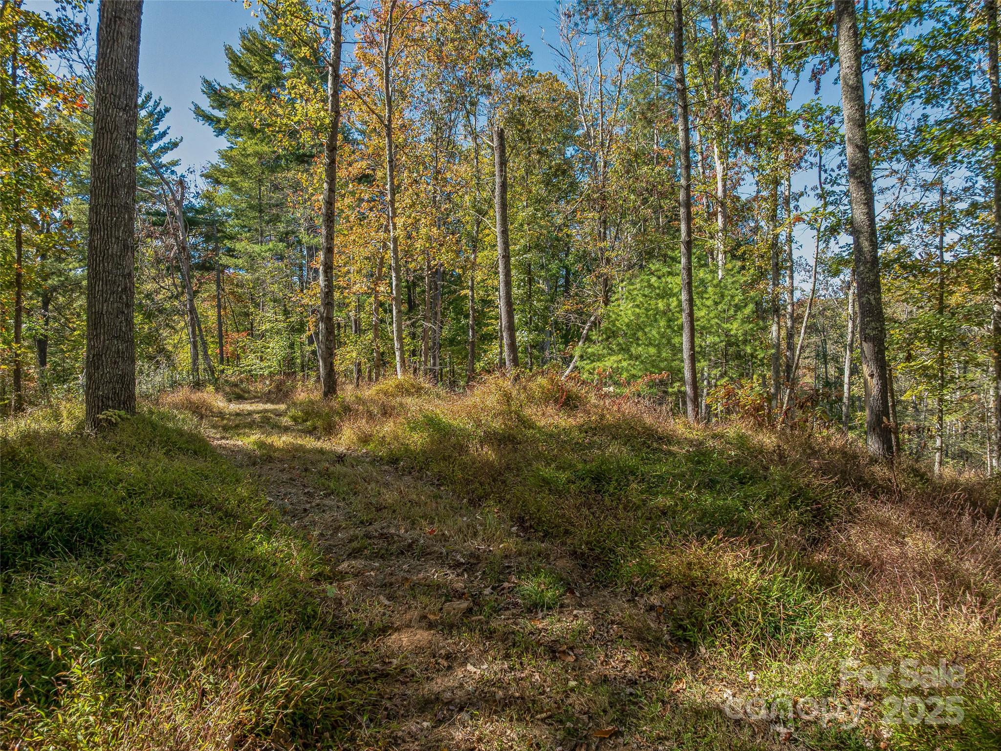 99999 Meadows Town Road Marshall, NC 28753 - Photo 19 of 47
