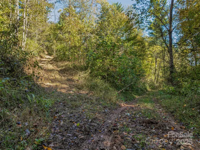 $700,000 | 99999 Meadows Town Road, Marshall, NC 28753