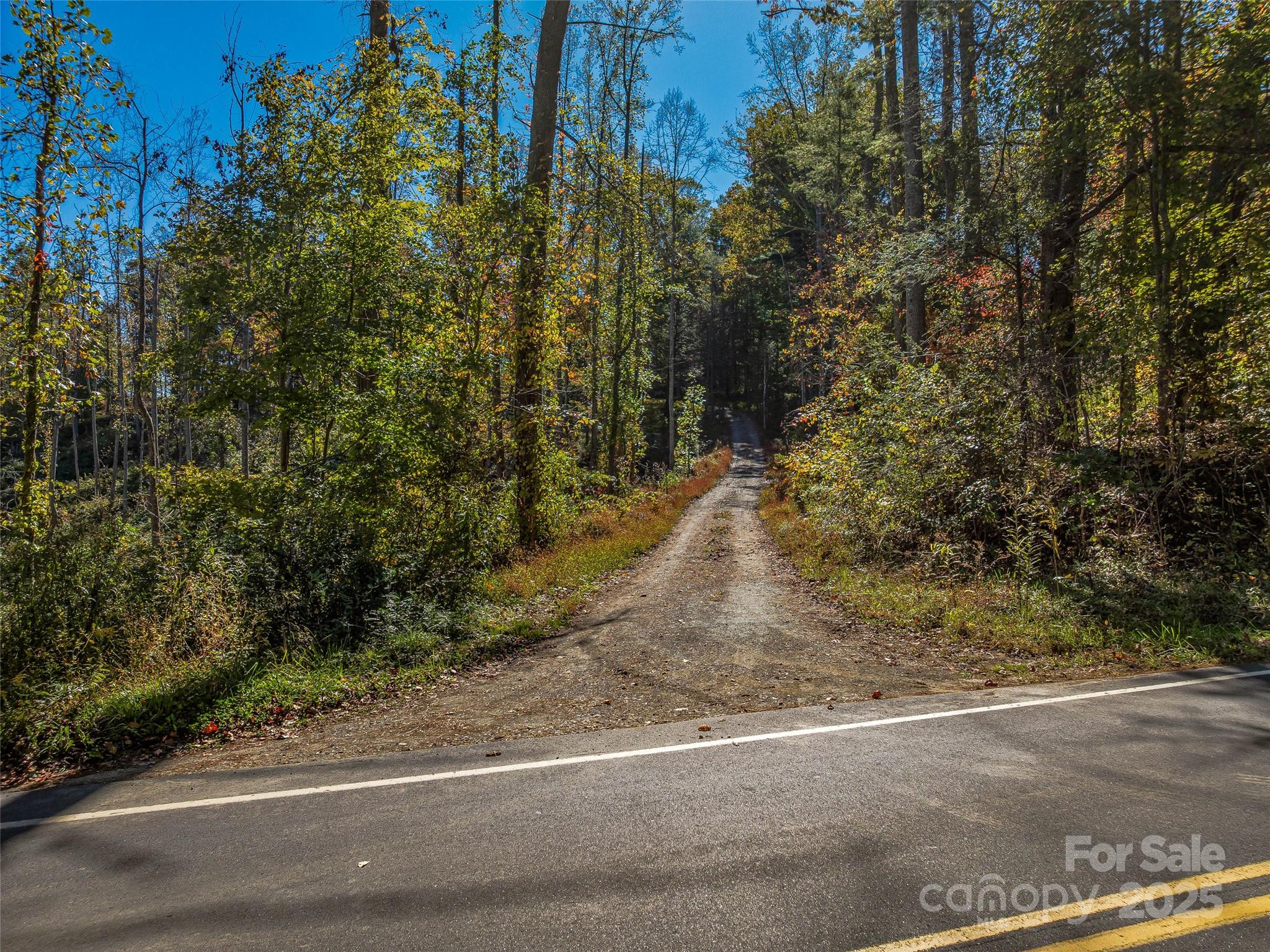 99999 Meadows Town Road Marshall, NC 28753 - Photo 2 of 47