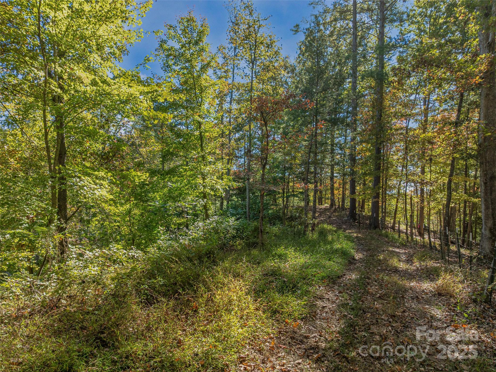 99999 Meadows Town Road Marshall, NC 28753 - Photo 21 of 47