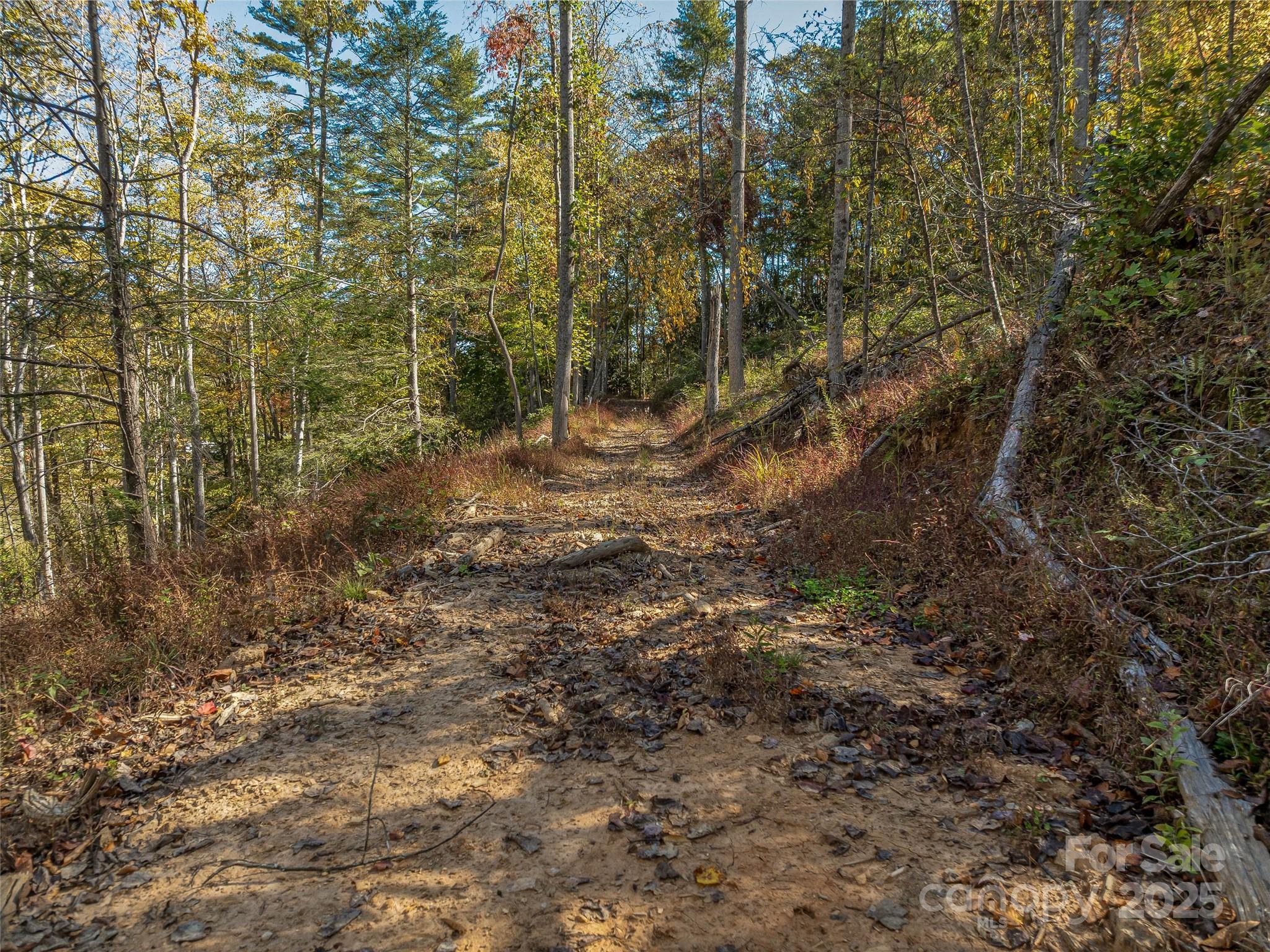 99999 Meadows Town Road Marshall, NC 28753 - Photo 22 of 47