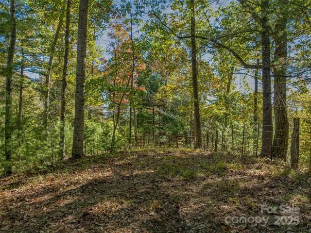 $700,000 | 99999 Meadows Town Road, Marshall, NC 28753