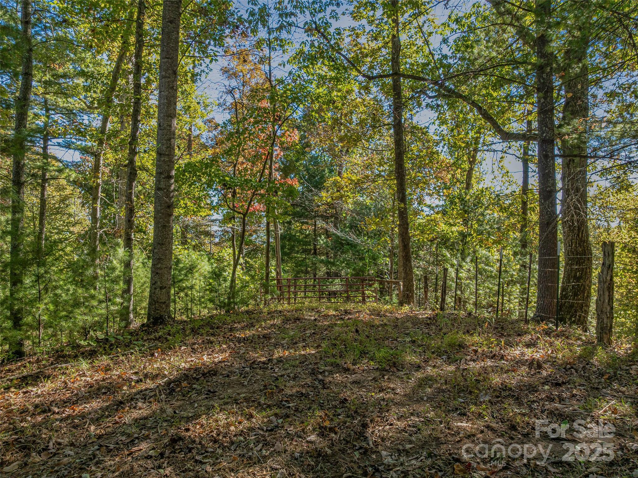 99999 Meadows Town Road Marshall, NC 28753 - Photo 23 of 47