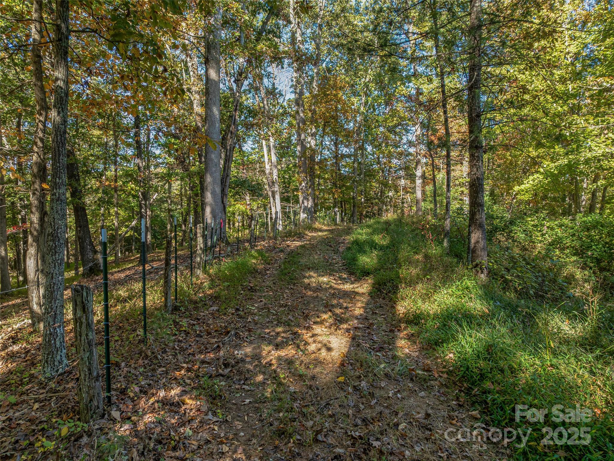 99999 Meadows Town Road Marshall, NC 28753 - Photo 24 of 47