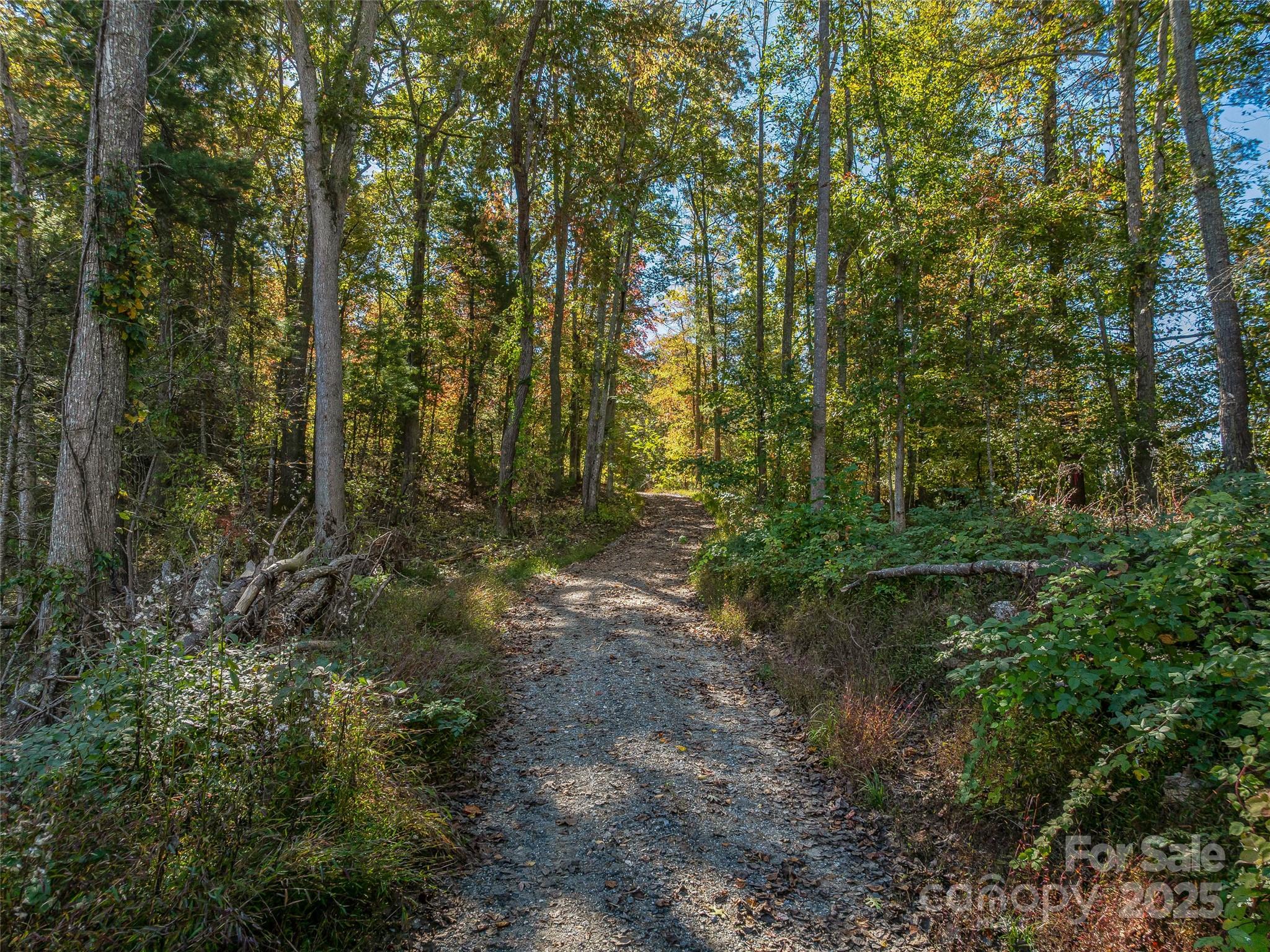 99999 Meadows Town Road Marshall, NC 28753 - Photo 25 of 47