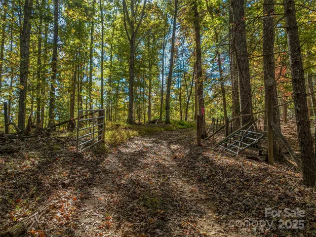 $700,000 | 99999 Meadows Town Road, Marshall, NC 28753