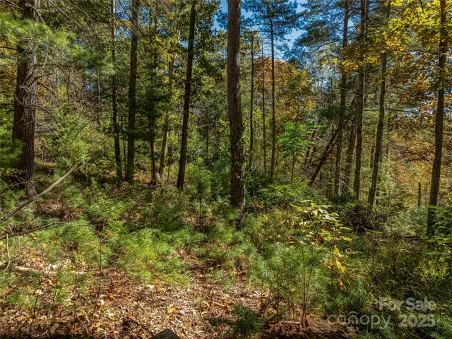 $700,000 | 99999 Meadows Town Road, Marshall, NC 28753