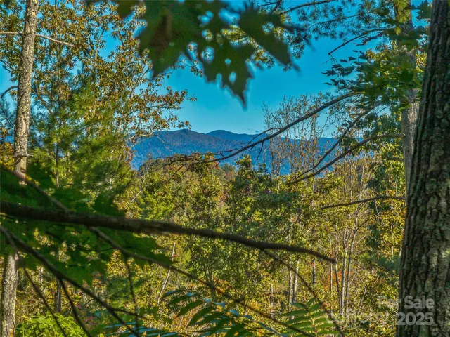 $700,000 | 99999 Meadows Town Road, Marshall, NC 28753