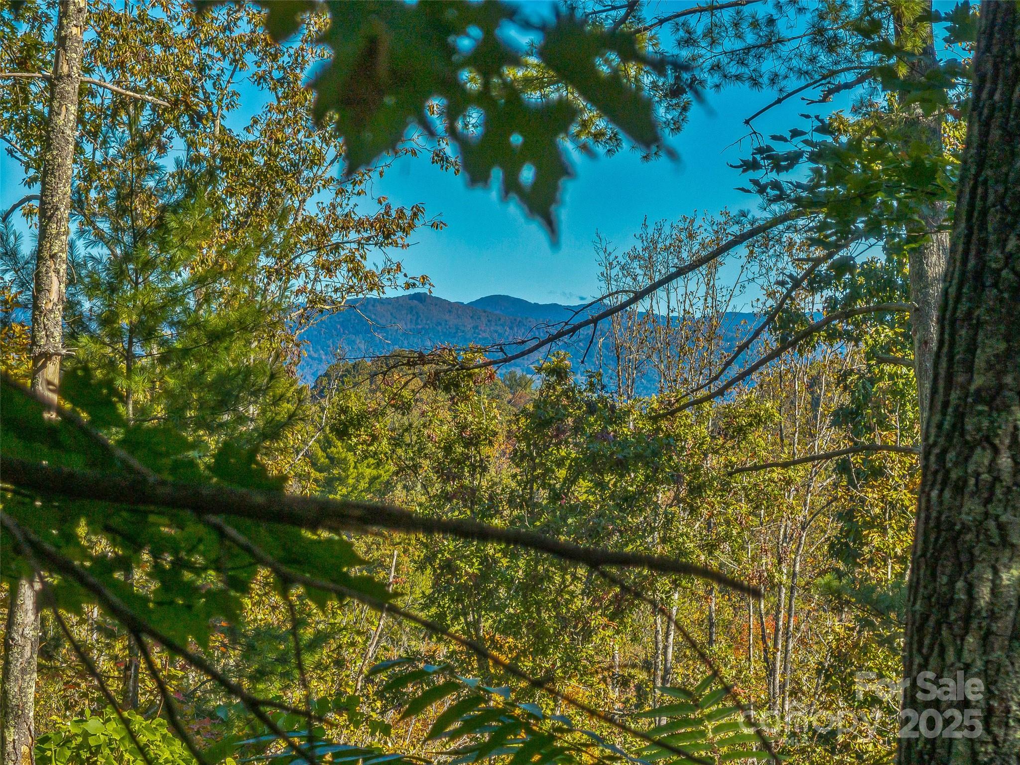 99999 Meadows Town Road Marshall, NC 28753 - Photo 30 of 47