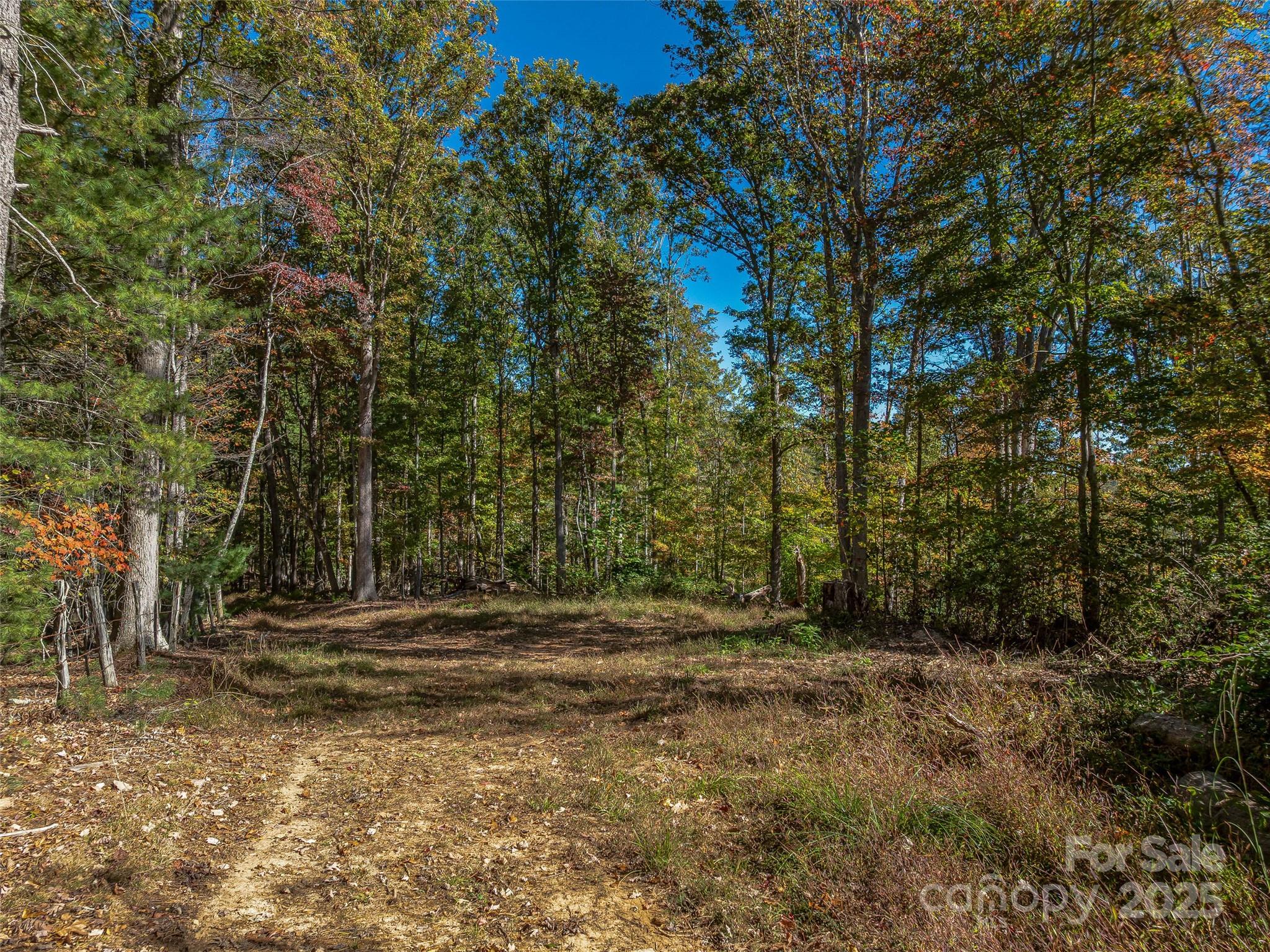 99999 Meadows Town Road Marshall, NC 28753 - Photo 3 of 47