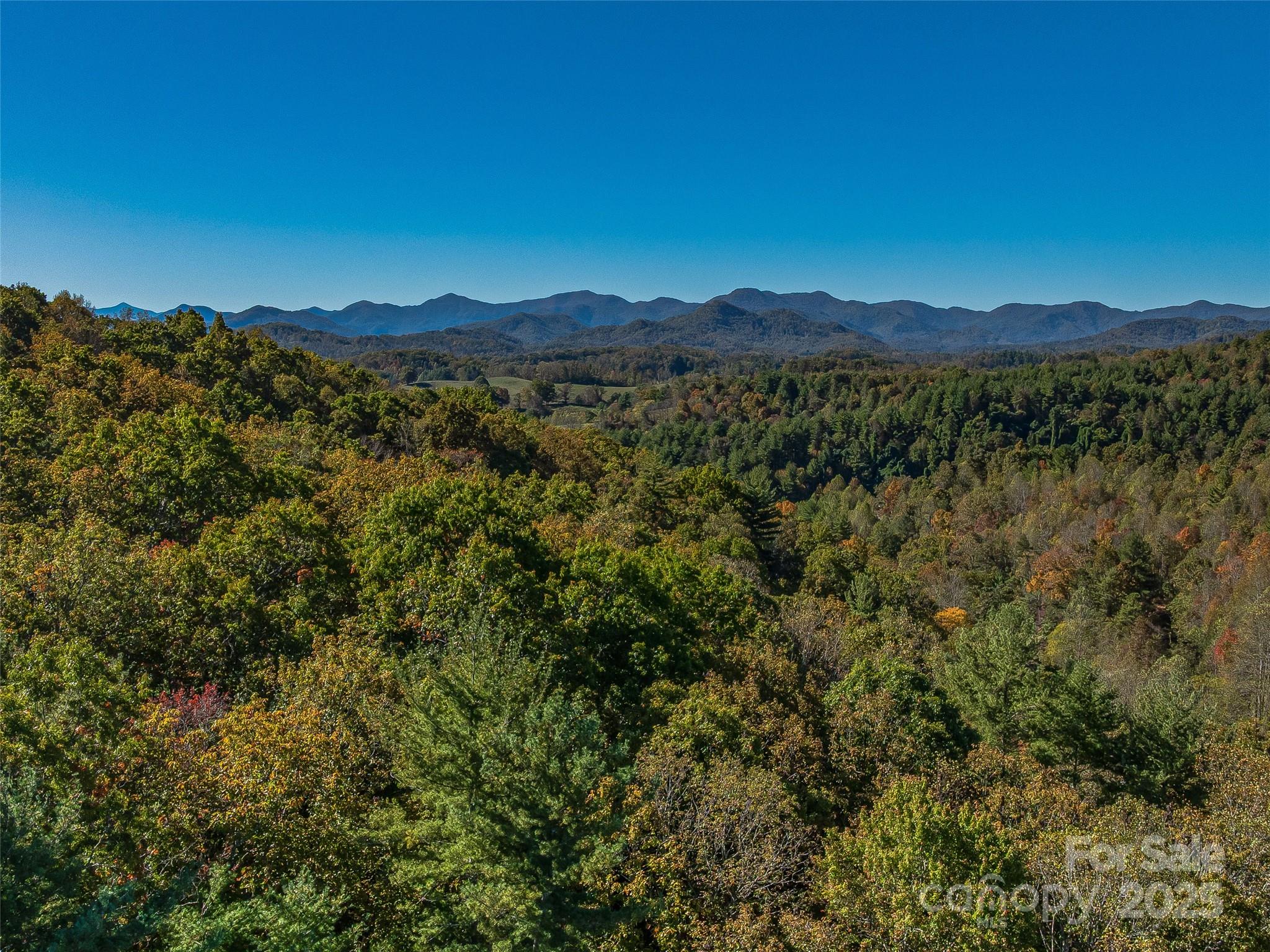 99999 Meadows Town Road Marshall, NC 28753 - Photo 31 of 47