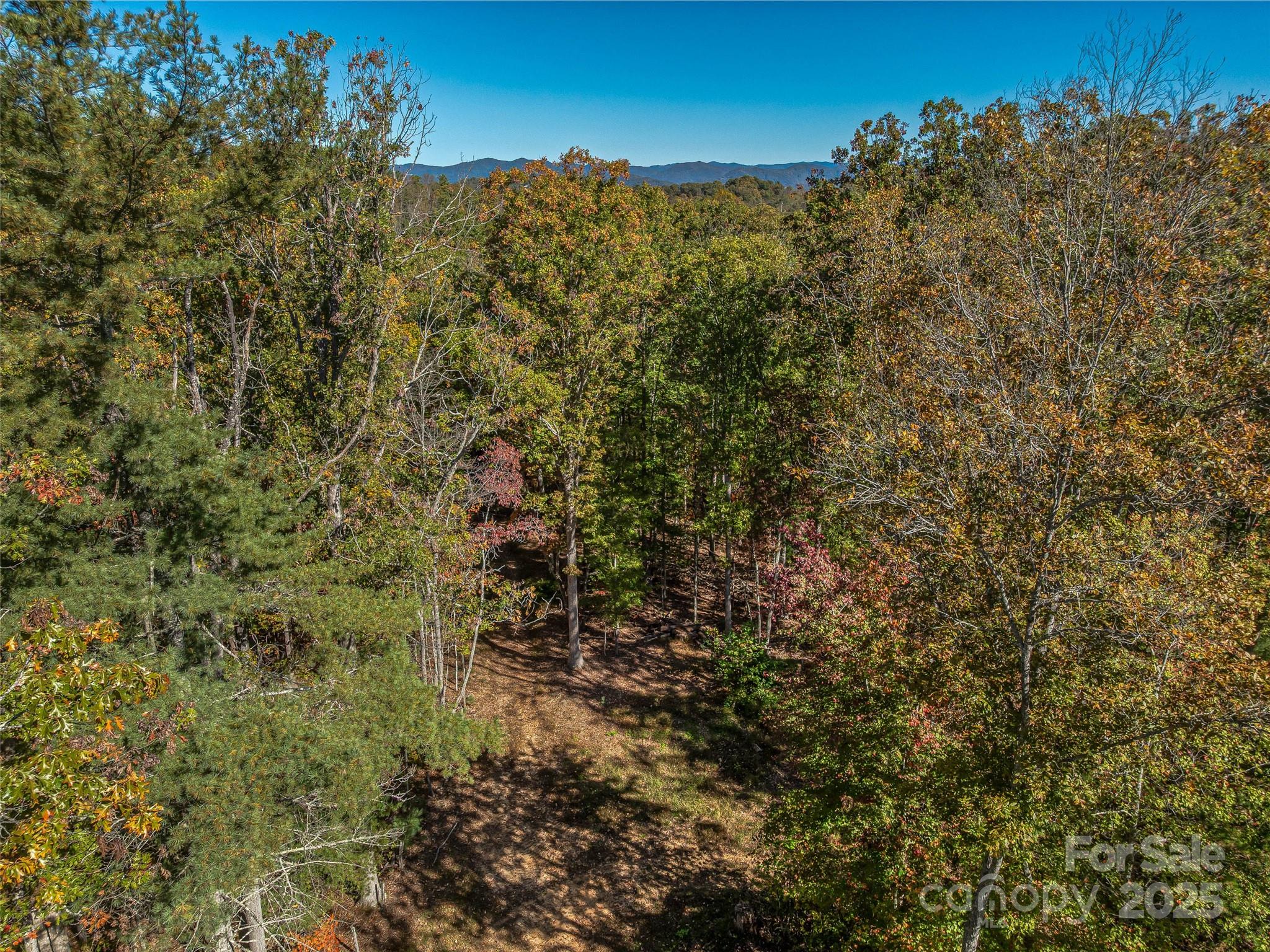 99999 Meadows Town Road Marshall, NC 28753 - Photo 32 of 47