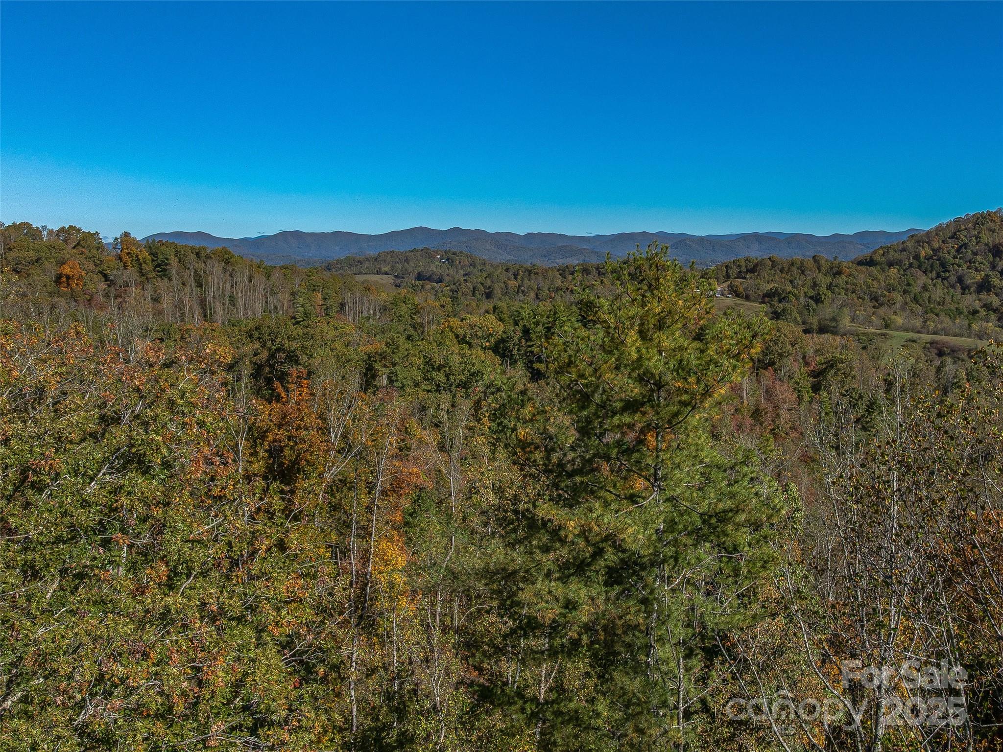 99999 Meadows Town Road Marshall, NC 28753 - Photo 36 of 47