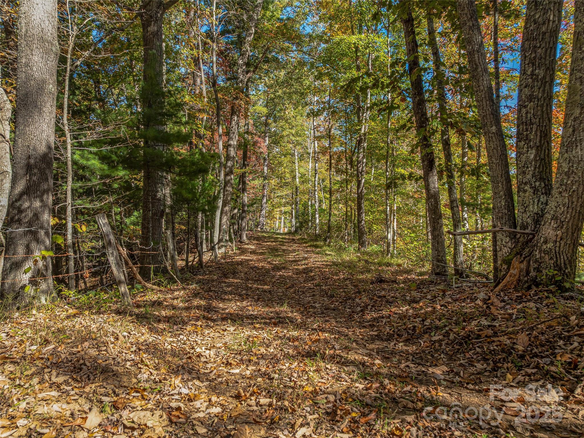 99999 Meadows Town Road Marshall, NC 28753 - Photo 4 of 47