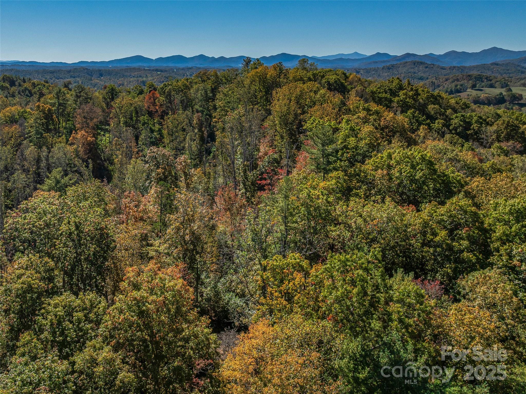 99999 Meadows Town Road Marshall, NC 28753 - Photo 45 of 47