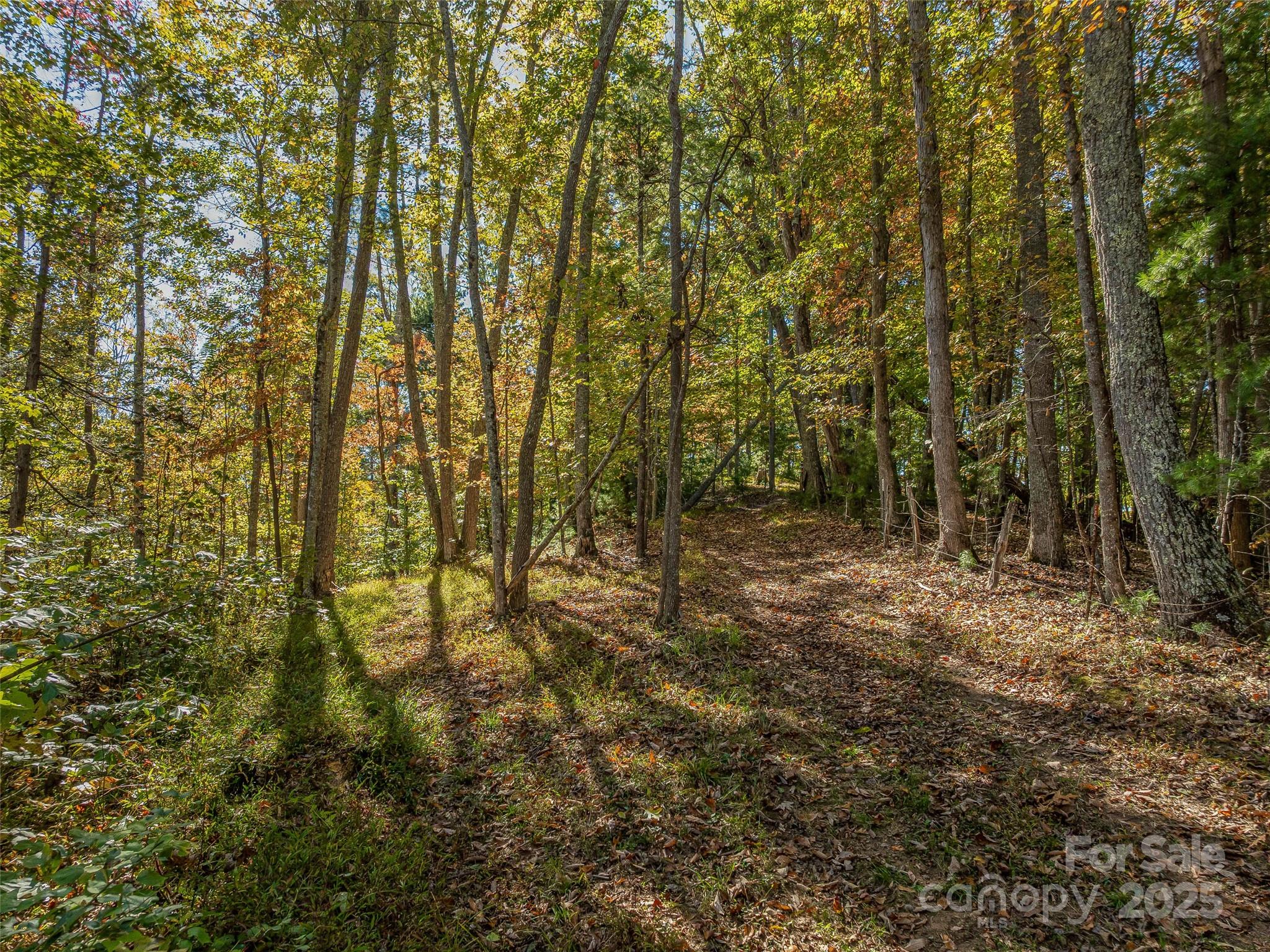 99999 Meadows Town Road Marshall, NC 28753 - Photo 7 of 47