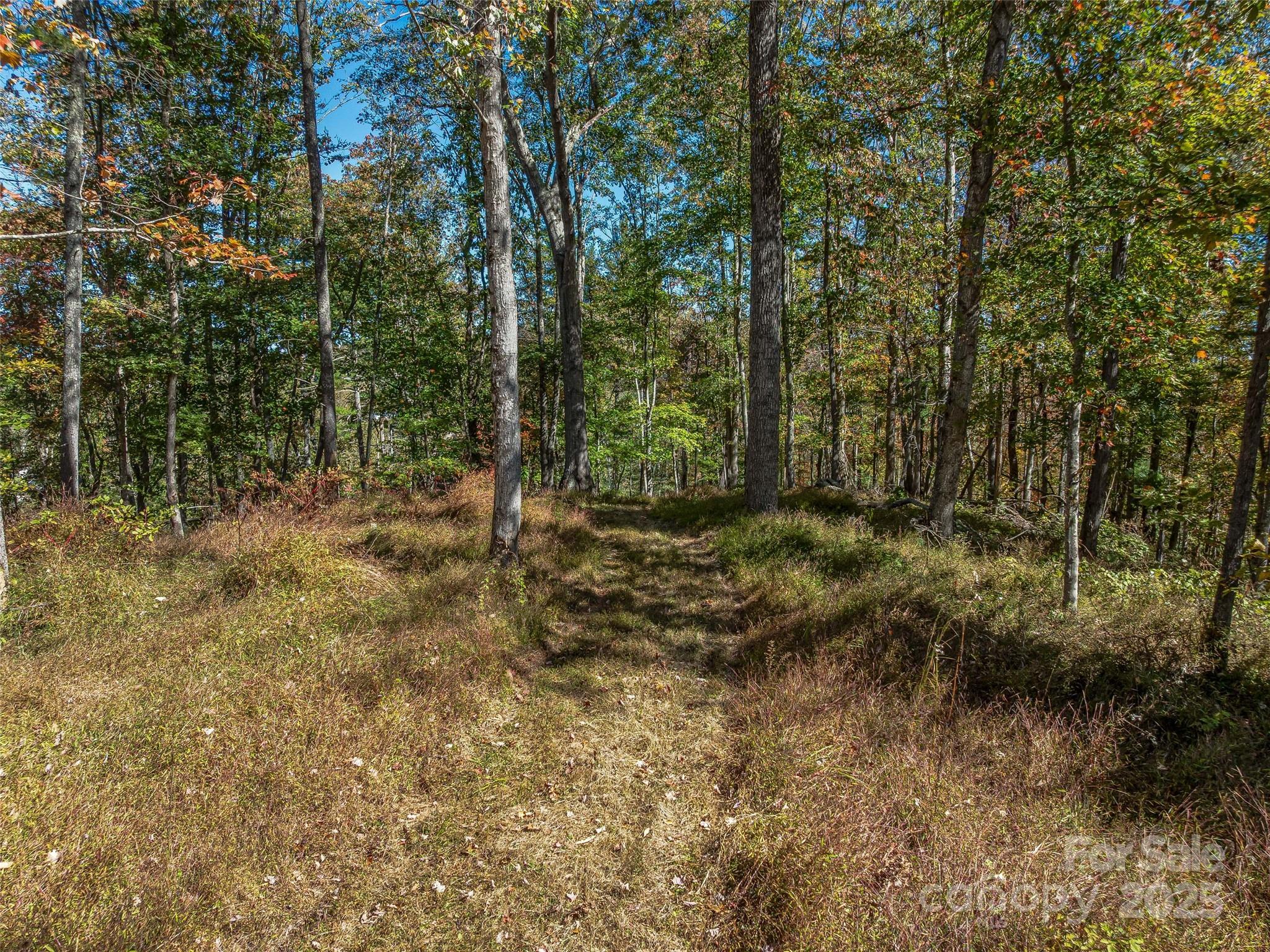 99999 Meadows Town Road Marshall, NC 28753 - Photo 8 of 47