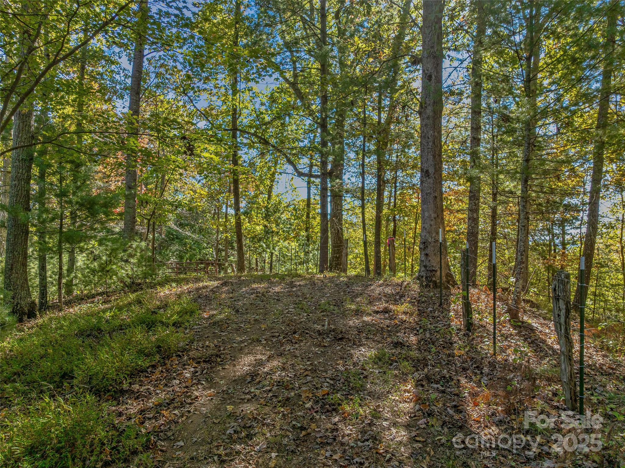 99999 Meadows Town Road Marshall, NC 28753 - Photo 9 of 47