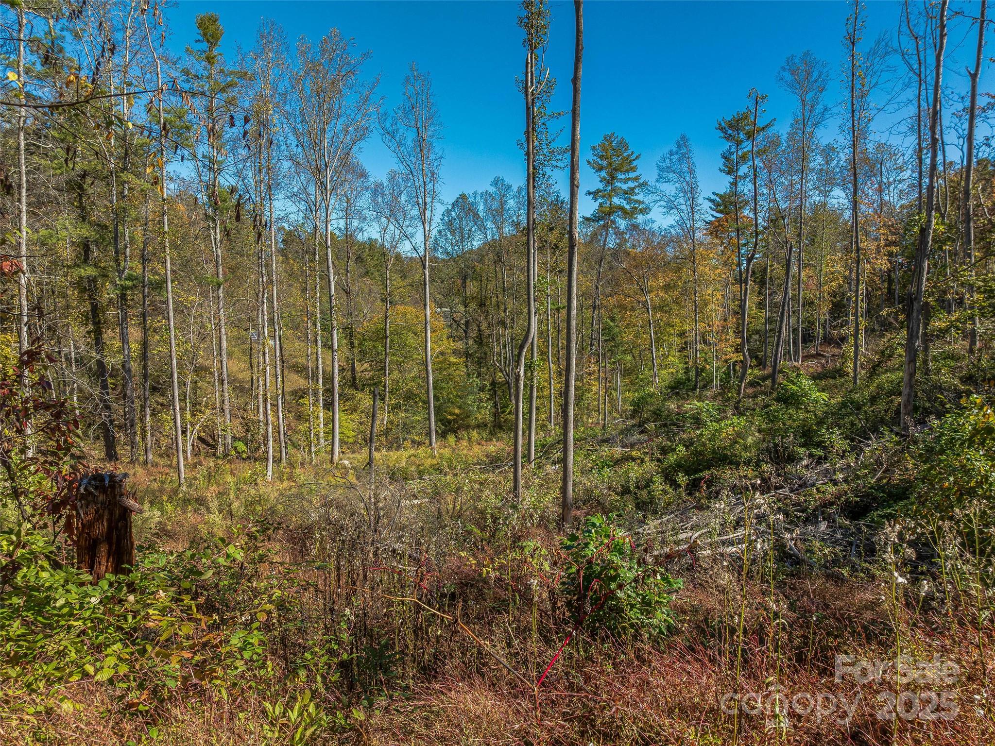 99999 Meadows Town Road Marshall, NC 28753 - Photo 10 of 47