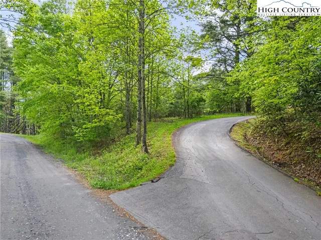 a backyard of a house with lots of trees