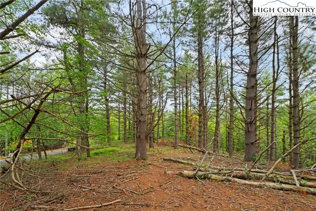 a view of a yard with a tree