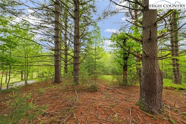 a view of a yard with plants and trees