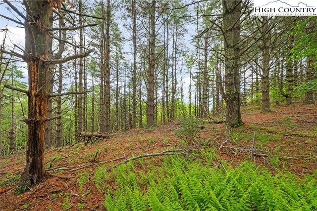 a view of outdoor space with trees