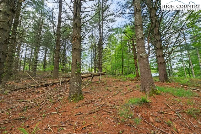 a view of outdoor space with trees