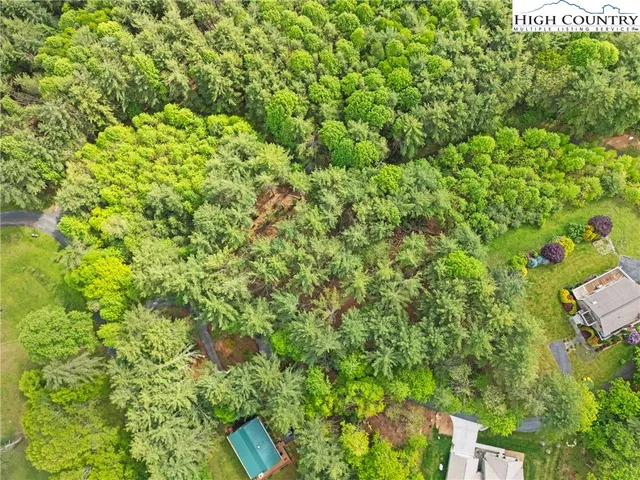 a view of a lush green forest with lots of trees