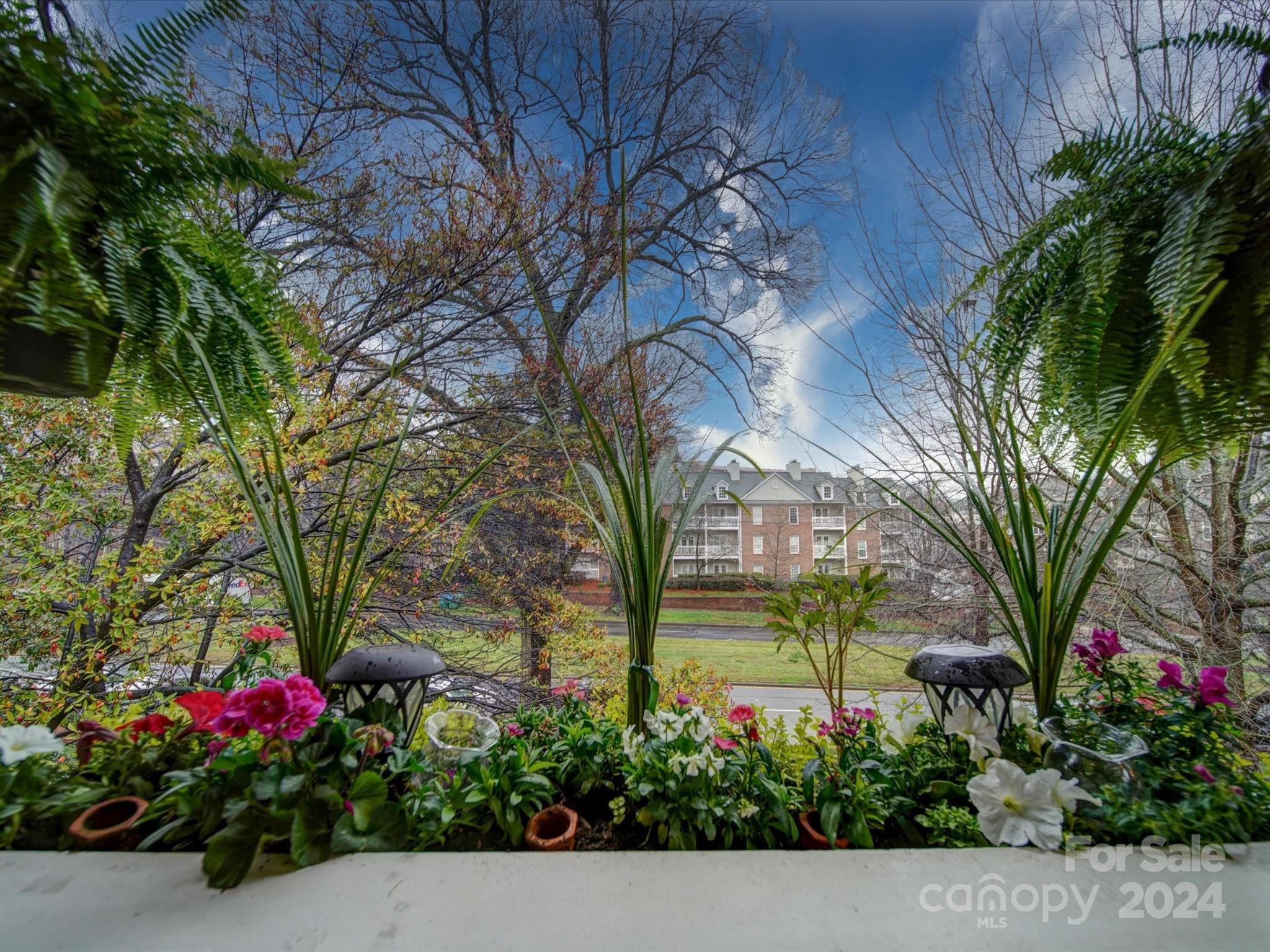 308 Queens Road, Unit 24 Charlotte, NC 28204 - Photo 1 of 7 Gallery Image 1
