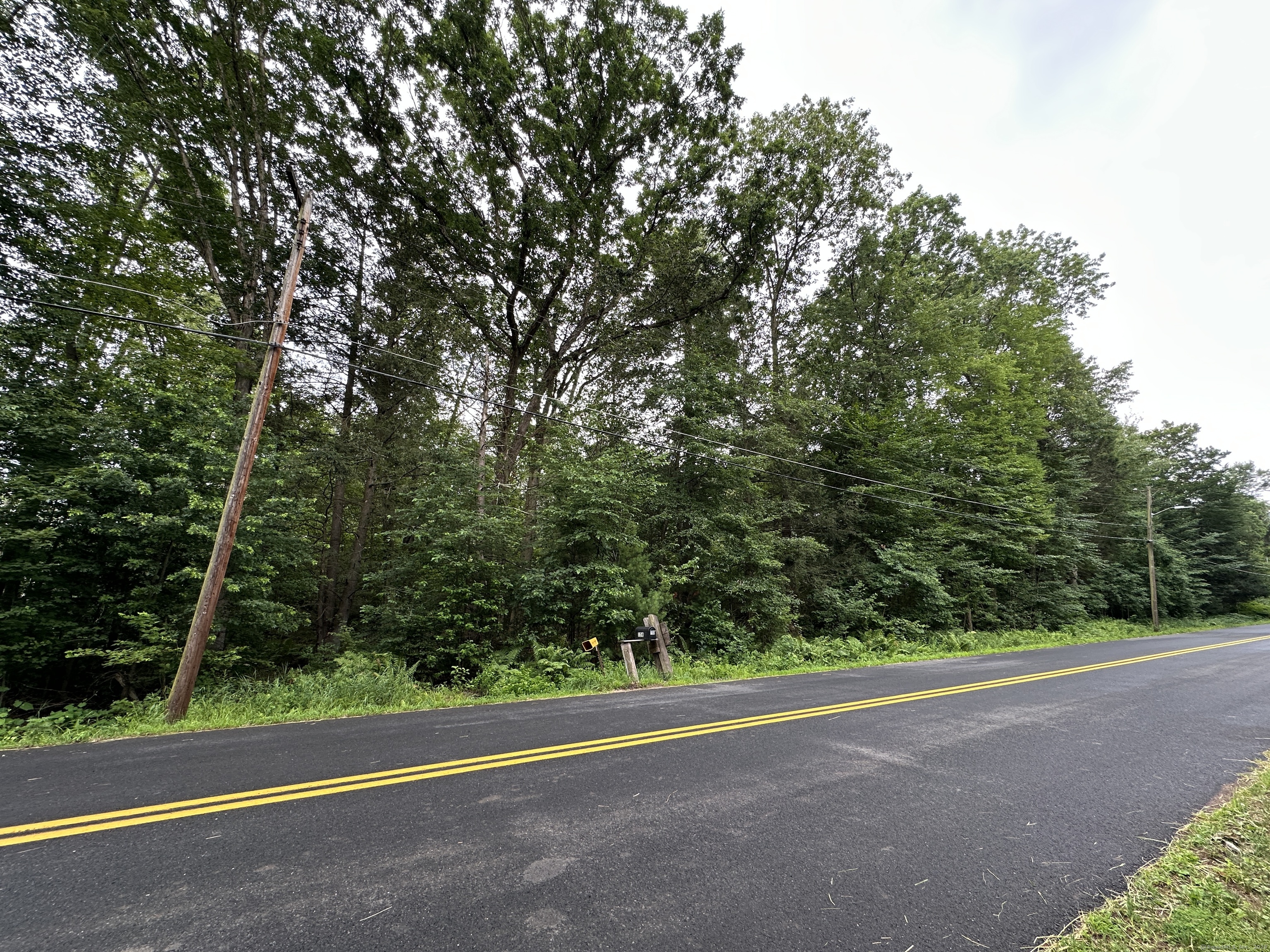 153 Scantic Road East Windsor, CT 06088 - Photo 1 of 4 a view of a field with plants and trees