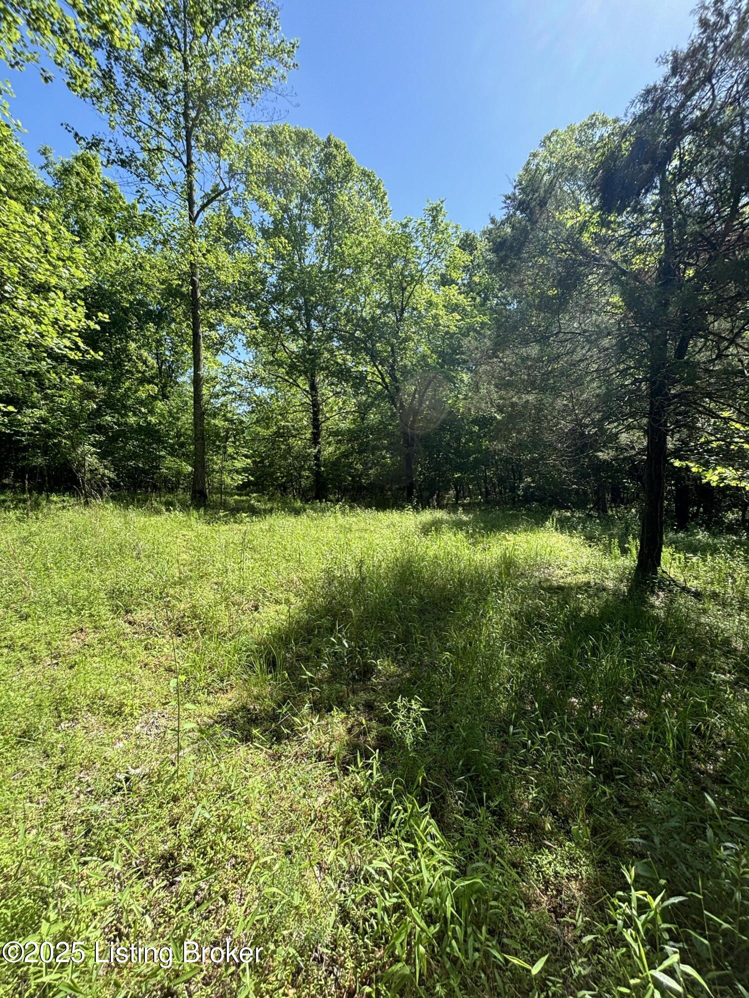 0 Dry Fork Road Raywick, KY 40060 - Photo 5 of 11 greenwell pic 6