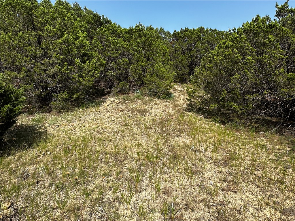 0 South Bosley Road Santo, TX 76472 - Photo 13 of 22 a view of a yard with a tree