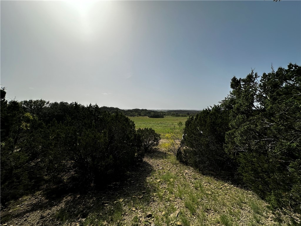 0 South Bosley Road Santo, TX 76472 - Photo 14 of 22 a view of a lake in between two of trees