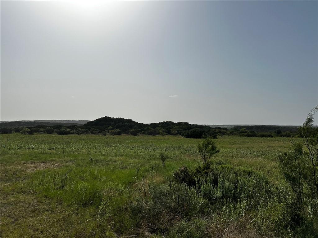0 South Bosley Road Santo, TX 76472 - Photo 19 of 22 a view of a lush green outdoor space with a lake view
