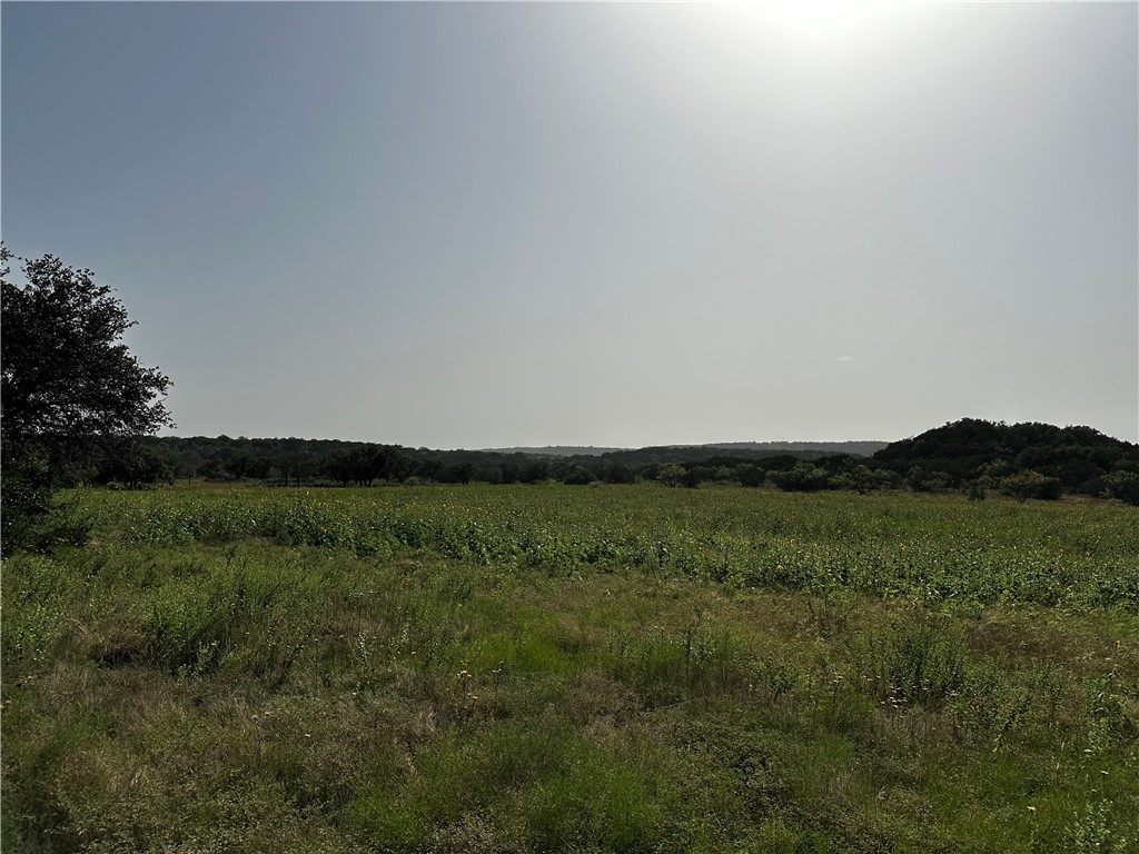 0 South Bosley Road Santo, TX 76472 - Photo 20 of 22 a view of a lush green outdoor space with a lake view