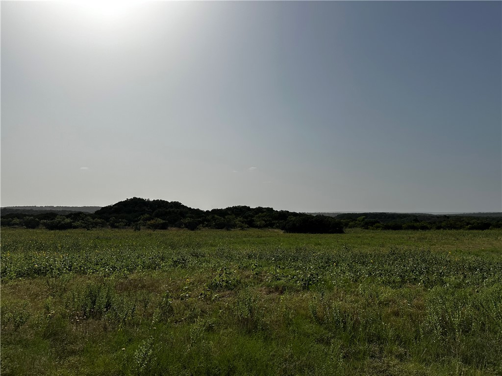 0 South Bosley Road Santo, TX 76472 - Photo 21 of 22 a view of a large mountain with a garden