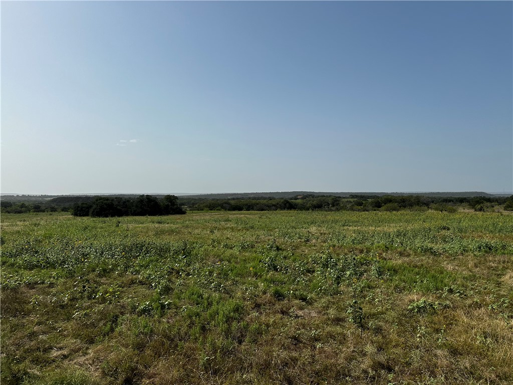 0 South Bosley Road Santo, TX 76472 - Photo 6 of 22 a view of an outdoor space and trees