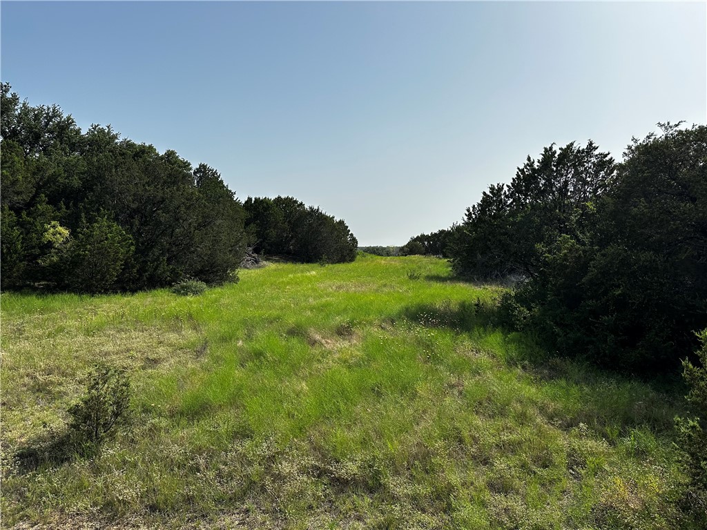 0 South Bosley Road Santo, TX 76472 - Photo 8 of 22 a view of a lush green space