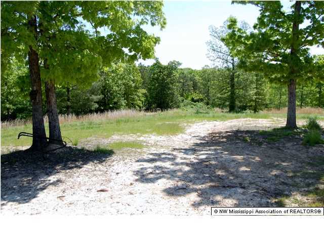 902 Brents Road Potts Camp, MS 38659 - Photo 4 of 17 Additional Photo
