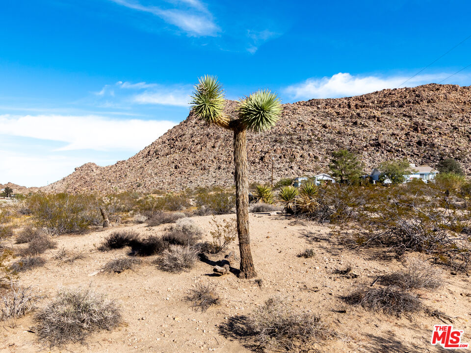 0 Tortuga Road Joshua Tree, CA 92252 - Photo 5 of 13