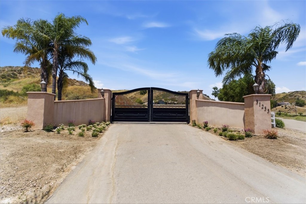 31233 Romero Canyon Road Castaic, CA 91384 - Photo 32 of 38 a house with palm tree in front of it