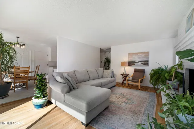 a living room with furniture potted plant and a large window