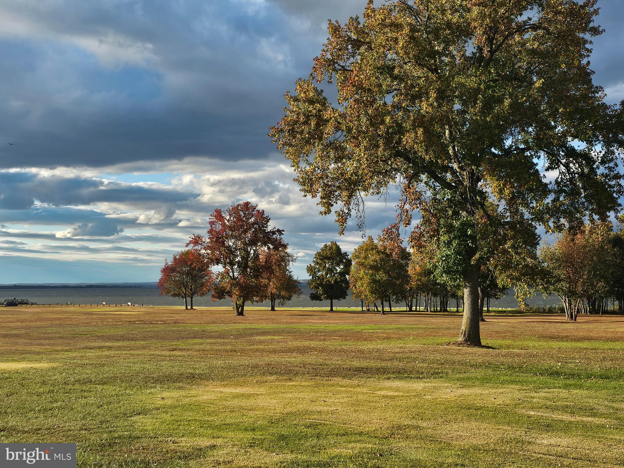 82 Basin Road Earleville, MD 21919 - Photo 5 of 46 a view of outdoor space with trees