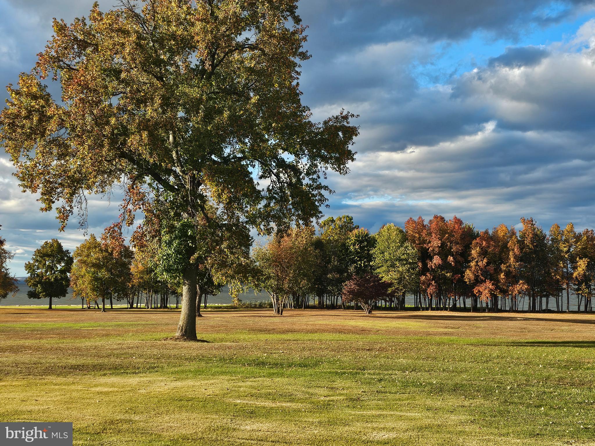 82 Basin Road Earleville, MD 21919 - Photo 6 of 46