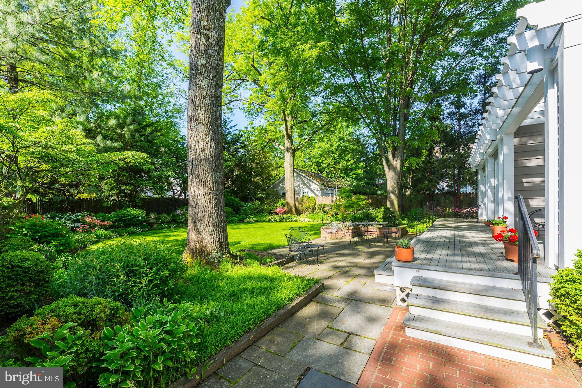 3720 Bradley Lane Chevy Chase, MD 20815 - Photo 5 of 29 a view of park with large trees