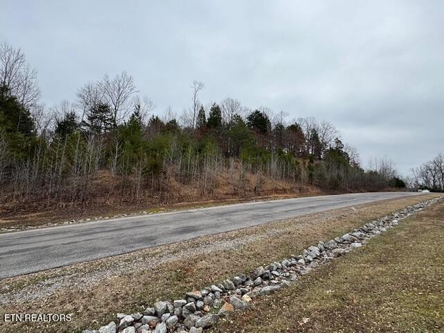 0 Ridge Top Drive Rockwood, TN 37854 - Photo 11 of 34 a view of a yard with a large trees