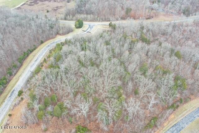 0 Ridge Top Drive Rockwood, TN 37854 - Photo 2 of 34 a view of a dry yard with trees